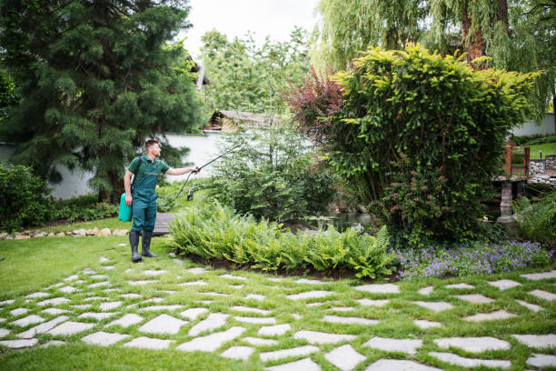 Best Tree Cabling and Bracing  in Brighton, CO
