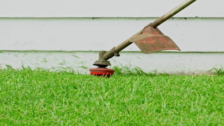 Best Artificial Turf Installation  in Brighton, CO
